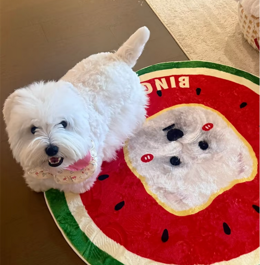 Custom Pet Portrait Carpet
